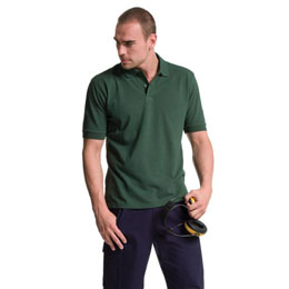 T ɶt polo ɶ  ɶ