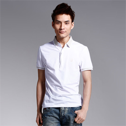  ɶt ɶ ɶ polo polo